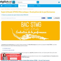 L’Évaluation de la Performance - Sujet d'étude Bac STG Mercatique 2013
