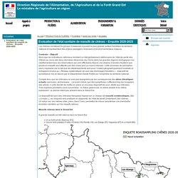 DRAAF GRAND EST 13/03/20 Evaluation de l’état sanitaire de massifs de chênes – Enquête 2020-2025