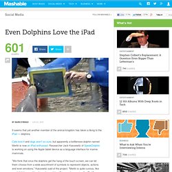 Even Dolphins Love the iPad