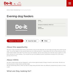 Evening dog feeders - Do-It - Be More