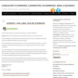 Consultant e-commerce, e-marketing, m-commerce, amoa, e-business