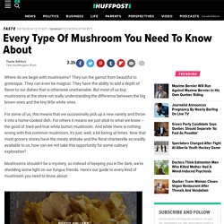 Every Type Of Mushroom You Need To Know About