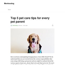 Top 5 pet care tips for every pet parent