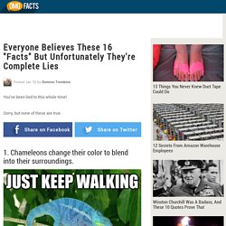 Everyone Believes These 16 "Facts" But Unfortunately They're Complete Lies