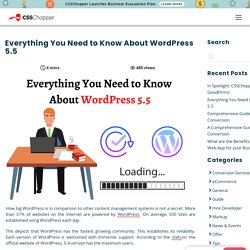 Everything You Need to Know About WordPress 5.5