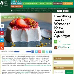 Everything You Ever Wanted to Know About Agar-Agar