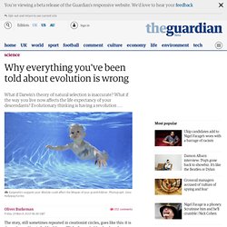 Why everything you've been told about evolution is wrong