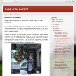 Gaia Grow System: Learn Everything About The Hydroponic Garden Today To Start Gardening