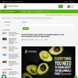 Key pointers of Avocado Fruit