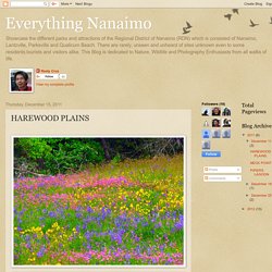 Everything Nanaimo: HAREWOOD PLAINS