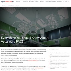 Everything You Should Know About Veterinary PACS
