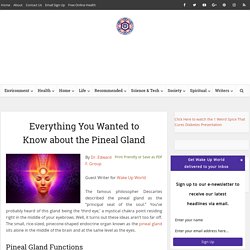 Everything You Wanted to Know about the Pineal Gland