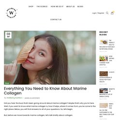Everything You Need to Know About Marine Collagen