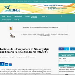Lactate - Is it Everywhere in Fibromyalgia and Chronic Fatigue Syndrome (ME/CFS)?