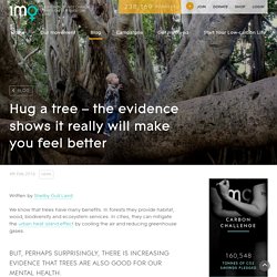 Hug a tree – the evidence shows it really will make you feel better