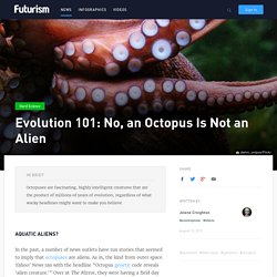 Evolution 101: No, an Octopus is not an Alien