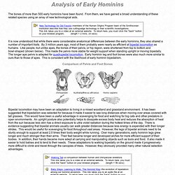 Early Hominin Evolution: Analysis of Early Hominids