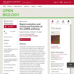 Rapid evolution and conserved function of the piRNA pathway