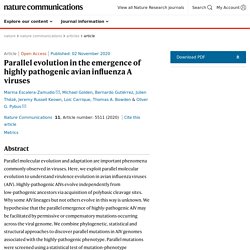 NATURE 02/11/20 Parallel evolution in the emergence of highly pathogenic avian influenza A viruses