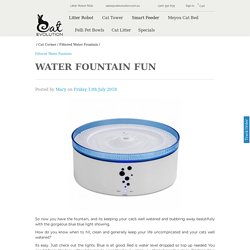 Cat Evolution Filtered Water Fountain