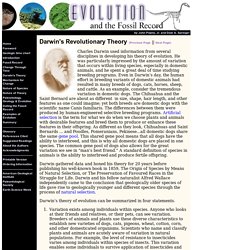 Evolution and the Fossil Record by John Pojeta, Jr. and Dale A. Springer