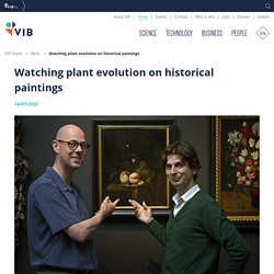 Watching plant evolution on historical paintings