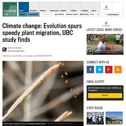 Climate change: Plant evolution spurs fast migration, UBC study finds