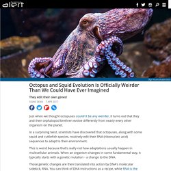 Octopus and squid evolution is officially weirder than we could have ever imagined