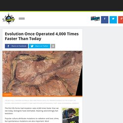 Evolution Once Operated Thousands Of Times Faster