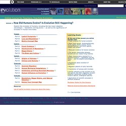 Evolution: Online Course for Teachers: SESSION 5 How Did Humans Evolve? Is Evolution Still Happening?