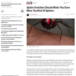 Spider Evolution Should Make You Even More Terrified Of Spiders