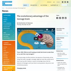 The evolutionary advantage of the teenage brain