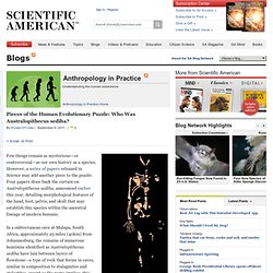 Pieces of the Human Evolutionary Puzzle: Who Was Australopithecus sediba?