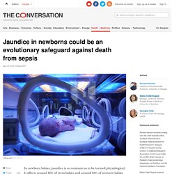 Jaundice in newborns could be an evolutionary safeguard against death from sepsis