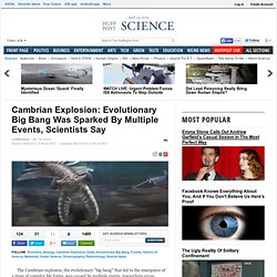 Cambrian Explosion: Evolutionary Big Bang Was Sparked By Multiple Events, Scientists Say