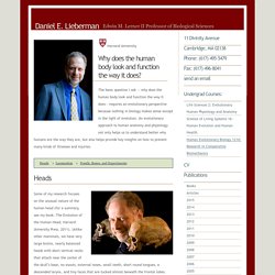 Home Page: Daniel E. Lieberman - Professor of Human Evolutionary Biology, Harvard University