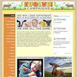 EVOLVE! Campaigns