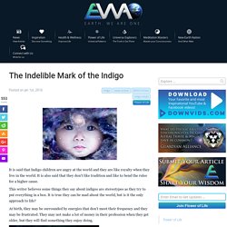 The Indelible Mark of the Indigo