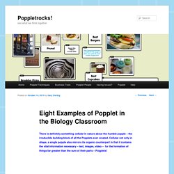 Eight Examples of Popplet in the Biology Classroom