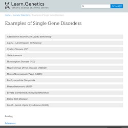 Examples of Single Gene Disorders