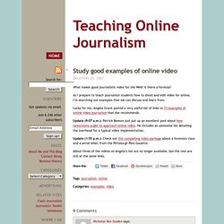 good online video journalism, course