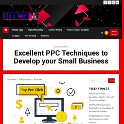 Excellent PPC Techniques to Develop your Small Business - Techeest