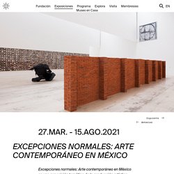 Excepciones Normales Arte Contemporaneo En Mexico - Museo Jumex