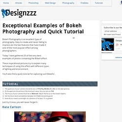 Exceptional Examples of Bokeh Photography and Quick Tutorial
