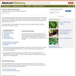 Seed Exchanges - Swapping Seeds with Like Minded Gardeners