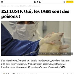 EXCLUSIF. Oui, les OGM sont des poisons ! - 20 septembre 2012