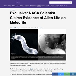 Exclusive: NASA Scientist Claims Evidence of Alien Life on Meteorite - FoxNews.com