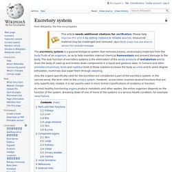 Excretory system - Wikipedia