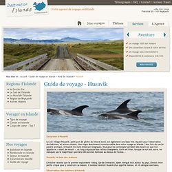 Guide de voyage Husavik - Excursion baleines Husavik - Destination Islande