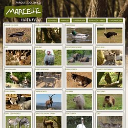 Animales — Marcelle Natureza — Parque Zoológico cerca de Lugo, rutas, excursiones, campamentos, picnic